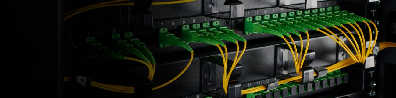Fibra otica